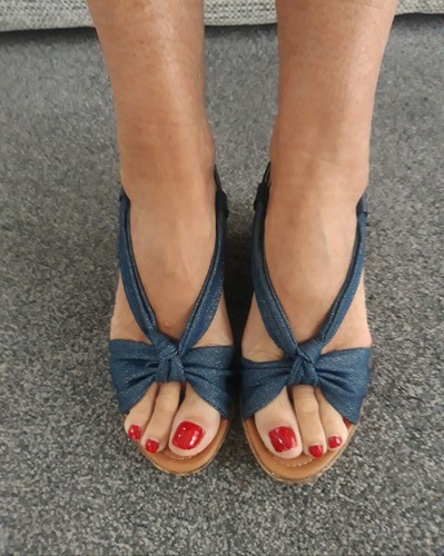Wallis ladies blue - wallis,